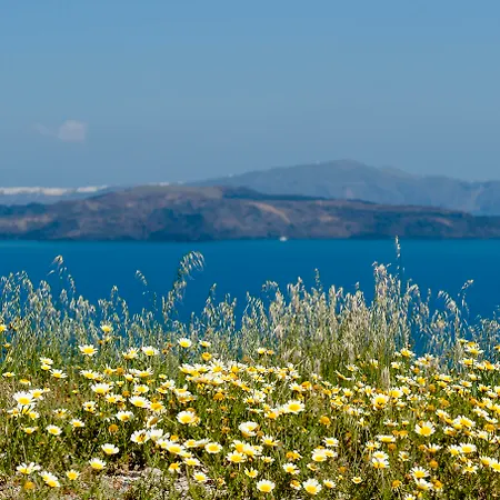 Earino Suites&villa Appartamento