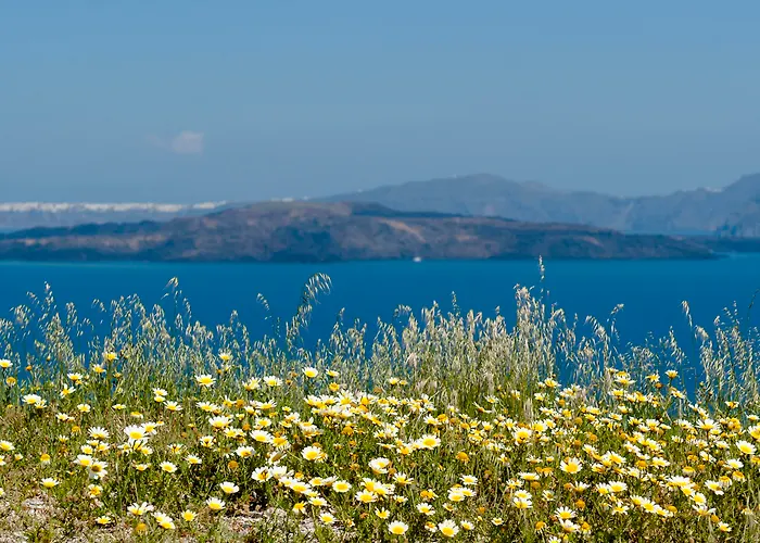 Earino And Apartmán